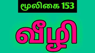 விகிலி மூலிகைவிழுதிவீழிCadaba fruticosaVikili herbal plantAlasalஅலசல் [upl. by Capon]