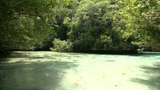 Palau Tour Micronesia by Asiatravelcom [upl. by Biggs]