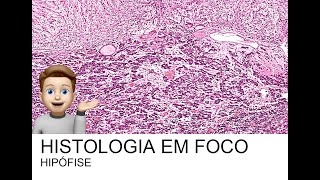 HISTOLOGIA EM FOCO HIPÓFISE [upl. by Llertnom]