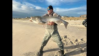 STRIPER MADNESS MONSTER FISH  UNDERGROUND REPORT  1118 [upl. by Postman363]