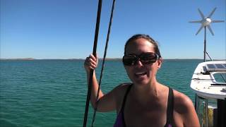 Ep 3 Pt 1 Ningaloo and the Montebello Islands [upl. by Idell465]