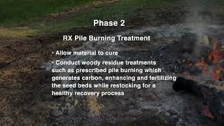 WSG Point Fire Dry Creek Rehab 2024 2 [upl. by Elrae]