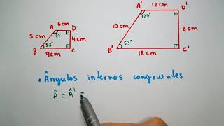 Polígonos Semelhantes Matemática [upl. by Suravaj486]