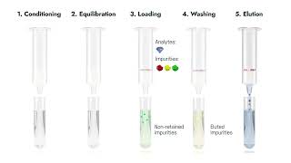 The 5 steps of a solid phase extraction SPE [upl. by Ocsinarf]