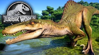 Jurassic World Evolution 30  Spinoraptor amp ein Stegoceratpos kämpfen um ihr Leben  LP JW Deutsch [upl. by Teferi]