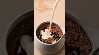 5Minute Fudgy Mug Brownie [upl. by Aznerol]