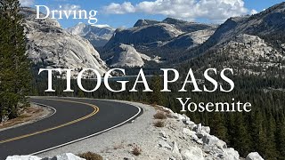 81 Tioga Pass  Yosemite  Lee Vining [upl. by Idnod]