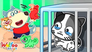 Dont be Sad Cute Kitty  Emotional Pets Songs  Wolfoo Nursery Rhymes amp Kids Songs [upl. by Eltsirhc]