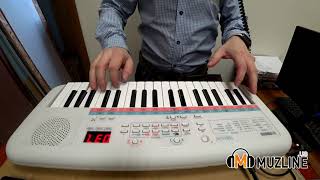 Yamaha PSS E30 Remie Демонстрация [upl. by Yrrap372]