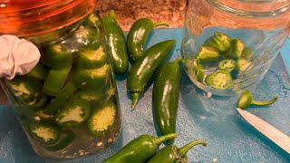 Pickled Jalapeños  Lacto Fermented Jalapeño Peppers quick tutorial [upl. by Anuaf365]