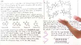 Introduction to DNA [upl. by Prader]