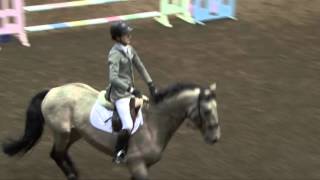 Ard Golden Crisp 6yo stallion  5th in 135 Young Rider Grand Prix [upl. by Feucht]