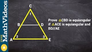 Writing a proof for equiangular angles within each other [upl. by Nylkoorb]