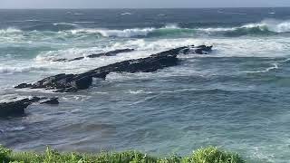 Coast at Brough of Birsay Orkney [upl. by Gereld]