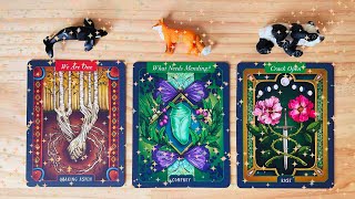 🧝🏾‍♀️🧙🏼‍♀️URGENT MESSAGES FROM YOUR SPIRIT GUIDES🧙🏼‍♀️🧝🏾‍♀️tarot card reading🧝🏾‍♀️pick a card [upl. by Hareehat]