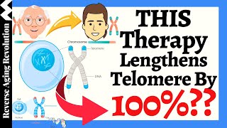 THIS Therapy Lengthens Telomere By 100  Reported By A 83 Year Old Doctor [upl. by Barra]