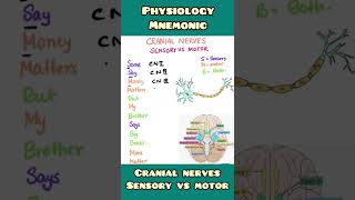 Cranial nerves  Sensory vs Motor mnemonic  shorts [upl. by Namsu]