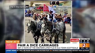 Experience Western lifestyle with a carriage ride in Old Town Scottsdale [upl. by Netloc]