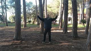 QIGONG  SEQUENZA ATTIVAZIONE CANALI ENERGETICI [upl. by Ahsinnor]