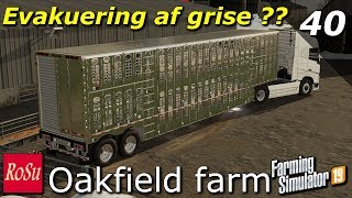 Evakuering af grise   Seasons  Oakfield Farm 19  Episode 40 [upl. by Harleigh]