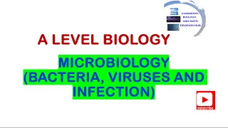 A level  Biology  Topic 6A  Microbiology  Pearson Edexcel [upl. by Alamac]