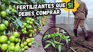 ¡Los 5 FERTILIZANTES que DEBERÍAS TENER SIEMPRE para CULTIVOS DE TOMATES [upl. by Tobe]