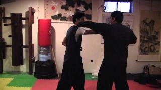 LI FAMILY STYLE LI GAR CHUAN BASIC TIGER FORM WITH APPLICATION PRACTICE [upl. by Ardyce]