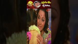 పుట్టినరోజు జేజేలు చిట్టి Puttina Roju Jejelu Song  Bangaru Kalalau Movie shorts youtubeshorts [upl. by Oiramed653]