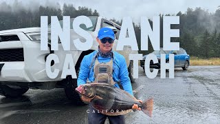 INSANE CATCH WHILE SURF FISHING [upl. by Brandes]