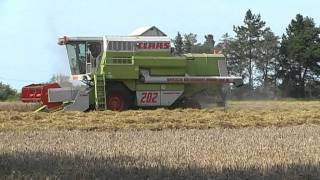 Claas Mega 202 beim Dreschen [upl. by Philps]