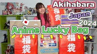 2024 Anime Lucky Bags Unboxing from Akihabara🛍 Tokyo Japan🇯🇵 [upl. by Naed]