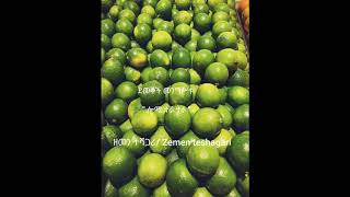 DemekechMengstu lomitera tera  ደመቀች መንግሥቱ ሎሚ ተራ ተራ [upl. by Peisch]