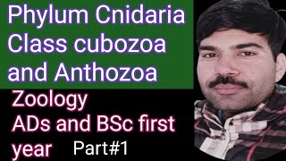 Class cubozoa and Anthozoa part1 [upl. by Viveca]