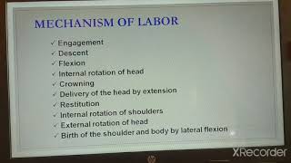 Mechanism of Normal labour [upl. by Suez]