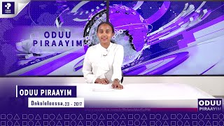 Oduu Piraayim  Onkololeessa 232017  Prime Media  Prime Media [upl. by Katalin]