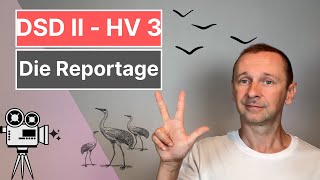 DSD II HV 3  Die Reportage [upl. by Ecallaw]