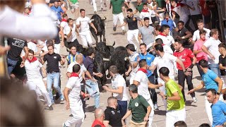 ENCIERRO Mare De Déu del Roser Almazora 2024  Toros de Carmen Valiente [upl. by Assirat]