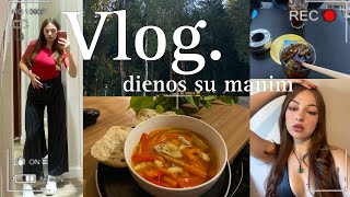 Vlog DRAUGAI DARBAS charčio sriubytės RECEPTAS [upl. by Eiramyma]