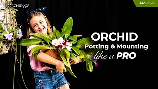 Orchid Potting and Mounting like a Pro [upl. by Notserp]