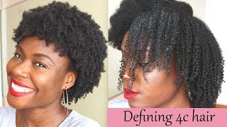 Defined curls on 4c natural hair using the LOC method no gel [upl. by Edita]