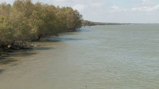 Governor Landry blasts coastal restoration project [upl. by Aihsenal]