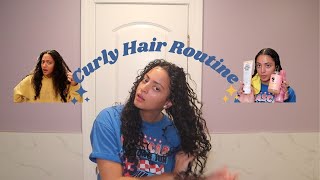 Full in Depth Curly Hair Routine  Long Lasting Results  Sydney Hyatt [upl. by Ocana]