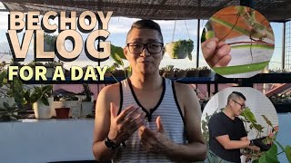 Being BECHOY VLOG For A Day  Philodendron Propagation Ni Idol [upl. by Aihsenor]