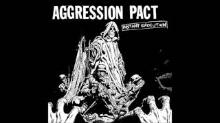 AGGRESSION PACT  Instant Execution USA  2017 [upl. by Ahselaf]