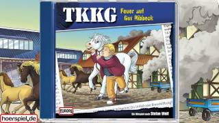 TKKG  Folge 192 Feuer auf Gut Ribbeck [upl. by Ricarda810]