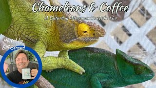 Chameleons amp Coffee [upl. by Akenit]