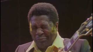 BB King  I Believe To My Soul  Live in Africa 1974 [upl. by Amled]