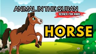 The Horse in Islam for Kids  Animal Series zillnoorain  Educational videos [upl. by Ikey]