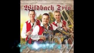 Wildbach Trio 2013  Das neue Album ab 57 im Handel [upl. by Igig]