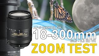 Zoom Test AFS DX Nikkor 18300mm f3563G ED VR [upl. by Vernier]